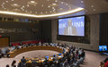 Head of UNMIK addresses UN Security Council – 29 August 2014