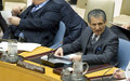 SRSG Zarif's presentation to the Security Council - 19 November 2013