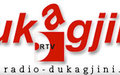 SRSG Farid Zarif Interview on Radio Dukagjini (Pristina)