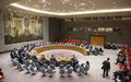 Security Council debate on UNMIK, 19 November 2015