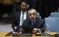 Commitments to peace and progress need backing of all communities and individuals in Kosovo, SRSG Tanin tells Security Council 