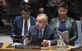 SRSG Tanin in Security Council Session on Kosovo: The time for action now moves ahead of the time for excuses