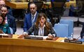 Shared responsibility, concerted action and compromise, the only route to progress, SRSG Ziadeh tells the Security Council