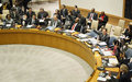 SRSG Presentation to the Security Council - 10 February 2014