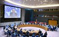 ‘Steady but fragile progress’ must be protected through sustained dialogue and trust-building, SRSG Tanin tells Security Council