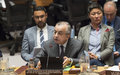 SRSG Tanin at UN Security Council Session on Kosovo: “There Is No Alternative to Dialogue”